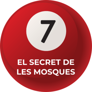 El secret de les mosques